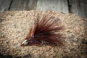 Brown Skull Bugger