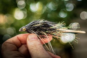 Lester the Nightfly Articulated Streamer